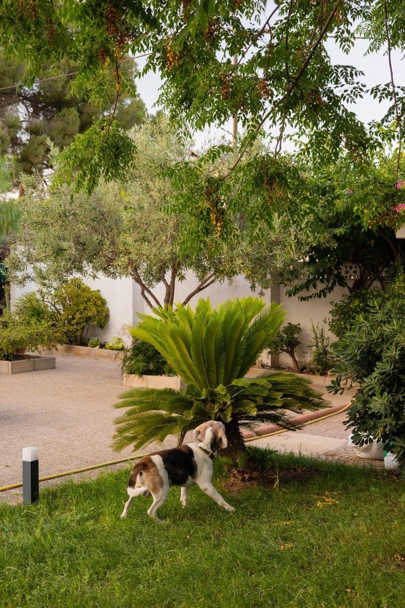 Chalet de 5 habitaciones en Llíria en venta con piscina garaje - 480.000 € (Ref: 10062376)