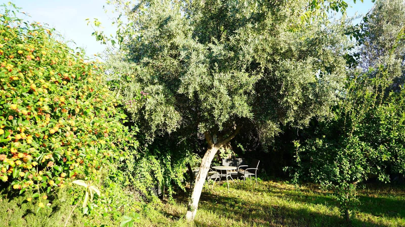 3 soverom Villa til salgs i Manises med svømmebasseng garasje - € 325 000 (Ref: 10177223)