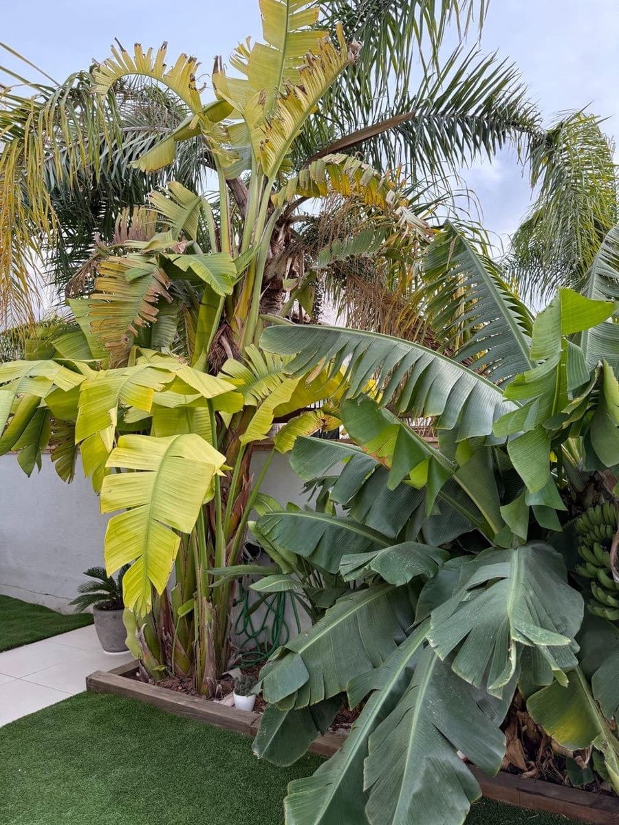 3 quarto Casa em Banda para arrendar em La Pobla de Vallbona com piscina - 2 000 € (Ref: 9446356)