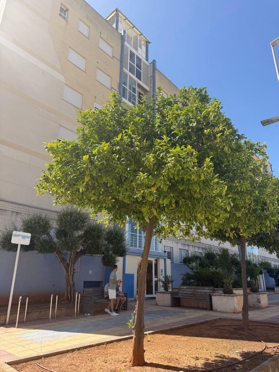 Piso de 2 habitaciones en Chilches en venta - 150.000 € (Ref: 9903956)