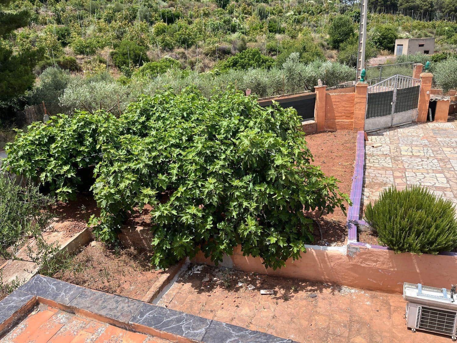 4 bedroom Villa for sale in Albalat dels Tarongers with pool garage - € 280,000 (Ref: 9922331)