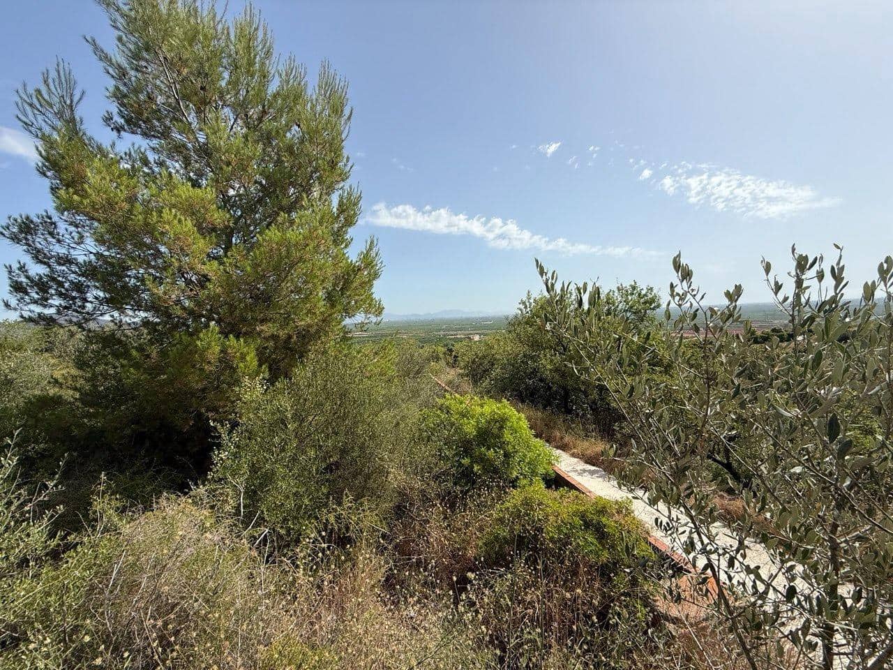 Ubebygd land til salgs i La Vilavella - € 16 000 (Ref: 9943664)