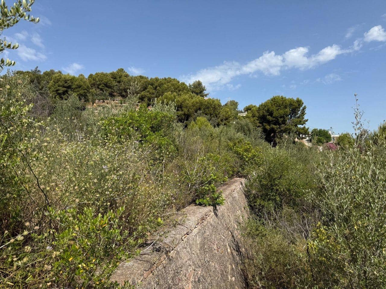 Ubebygd land til salgs i La Vilavella - € 16 000 (Ref: 9943664)
