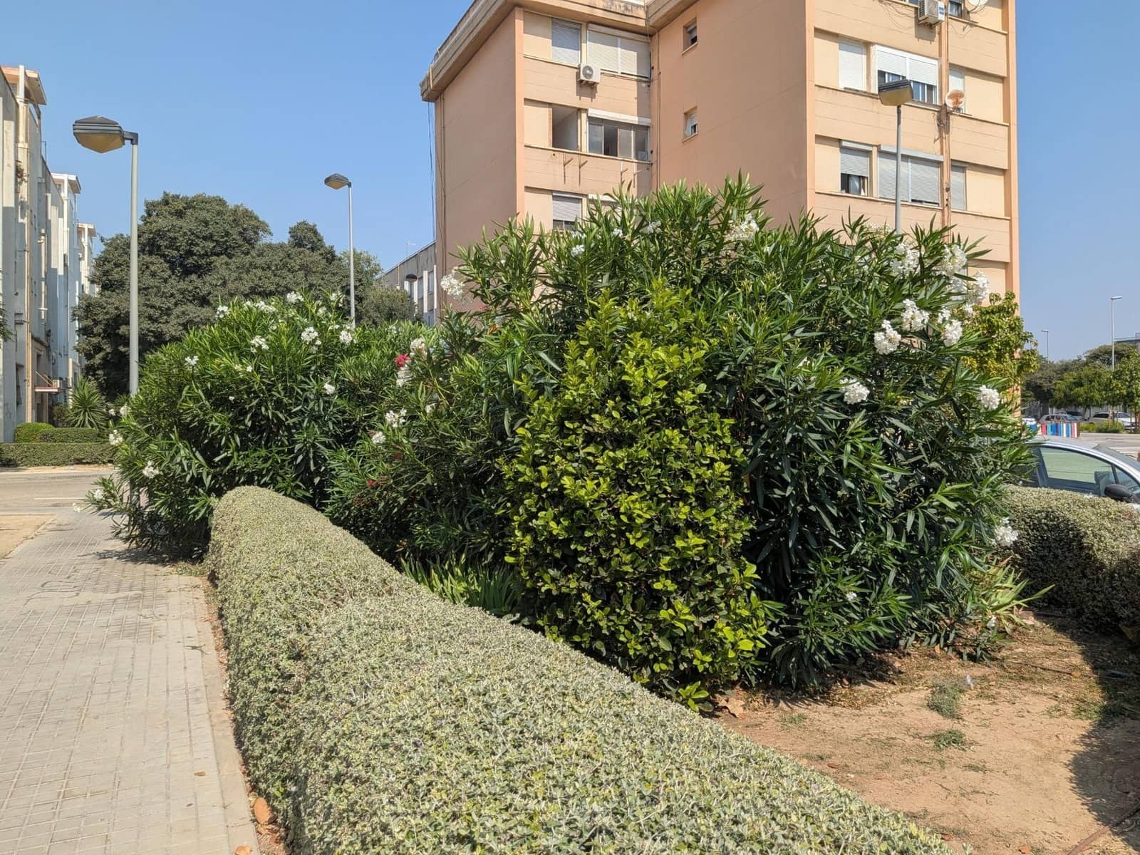 Piso de 3 habitaciones en València ciudad en venta - 230.000 € (Ref: 9985005)