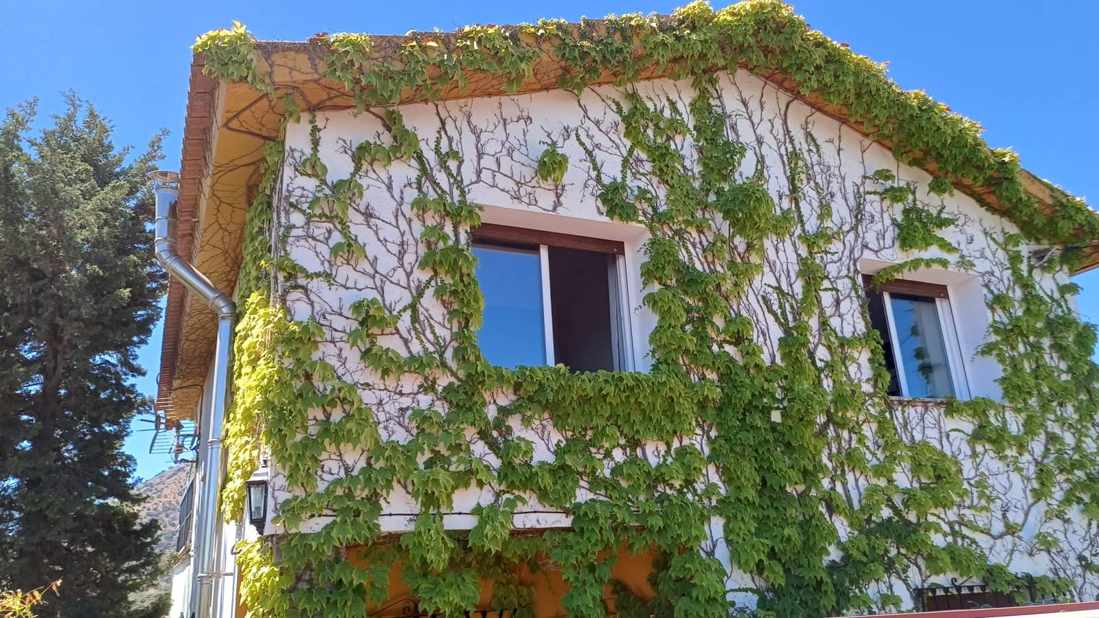 3 makuuhuone Huvila myytävänä paikassa Fuente Camacho mukana uima-altaan 
autotalli - 285 000 € (Ref: 8431852)