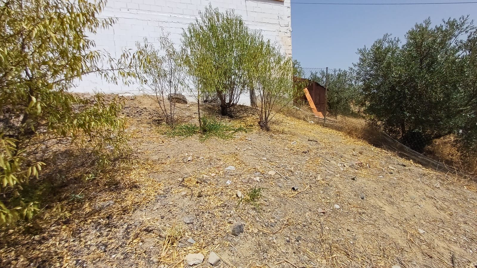 Grond te koop in Fuente Camacho - € 18.000 (Ref: 9172138)