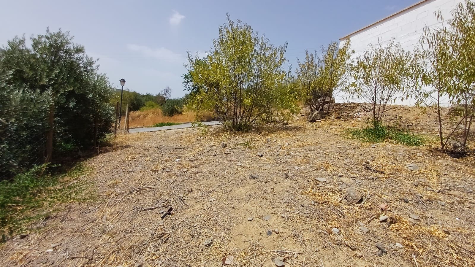 Grond te koop in Fuente Camacho - € 18.000 (Ref: 9172138)
