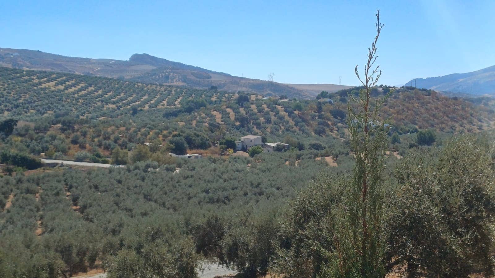 6 sovrum Finca/Hus på landet till salu i Antequera med pool garage - 485 000 € (Ref: 9356504)