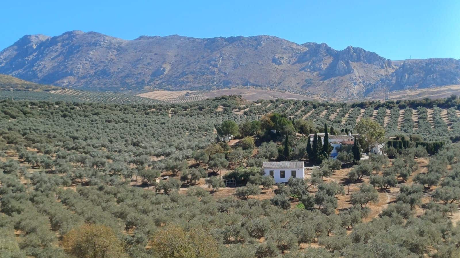 6 sovrum Finca/Hus på landet till salu i Antequera med pool garage - 485 000 € (Ref: 9356504)
