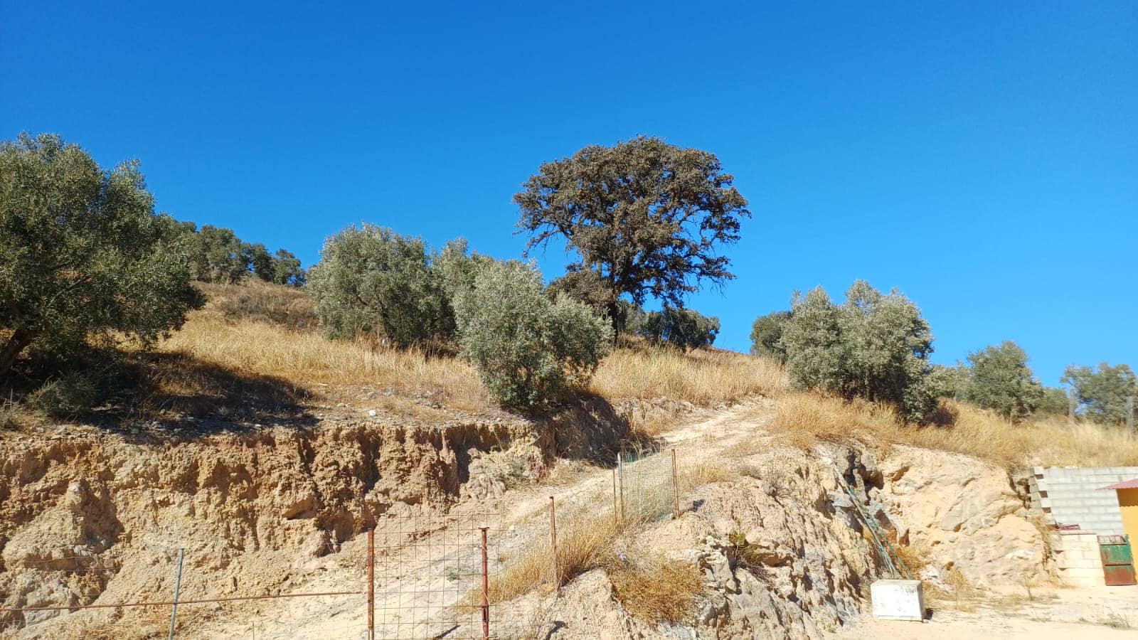 6 sovrum Finca/Hus på landet till salu i Antequera med pool garage - 485 000 € (Ref: 9356504)