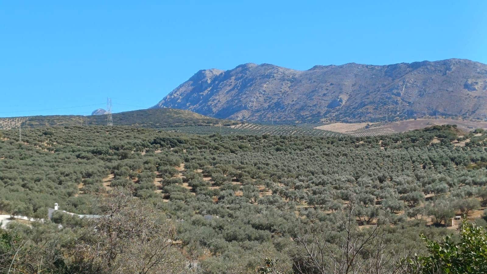 6 sovrum Finca/Hus på landet till salu i Antequera med pool garage - 485 000 € (Ref: 9356504)