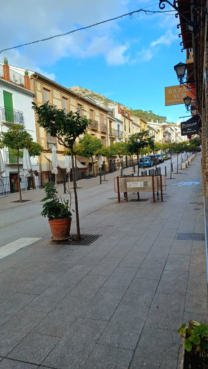 Restaurant/Bar til salg i Archidona - € 650.000 (Ref: 9570038)