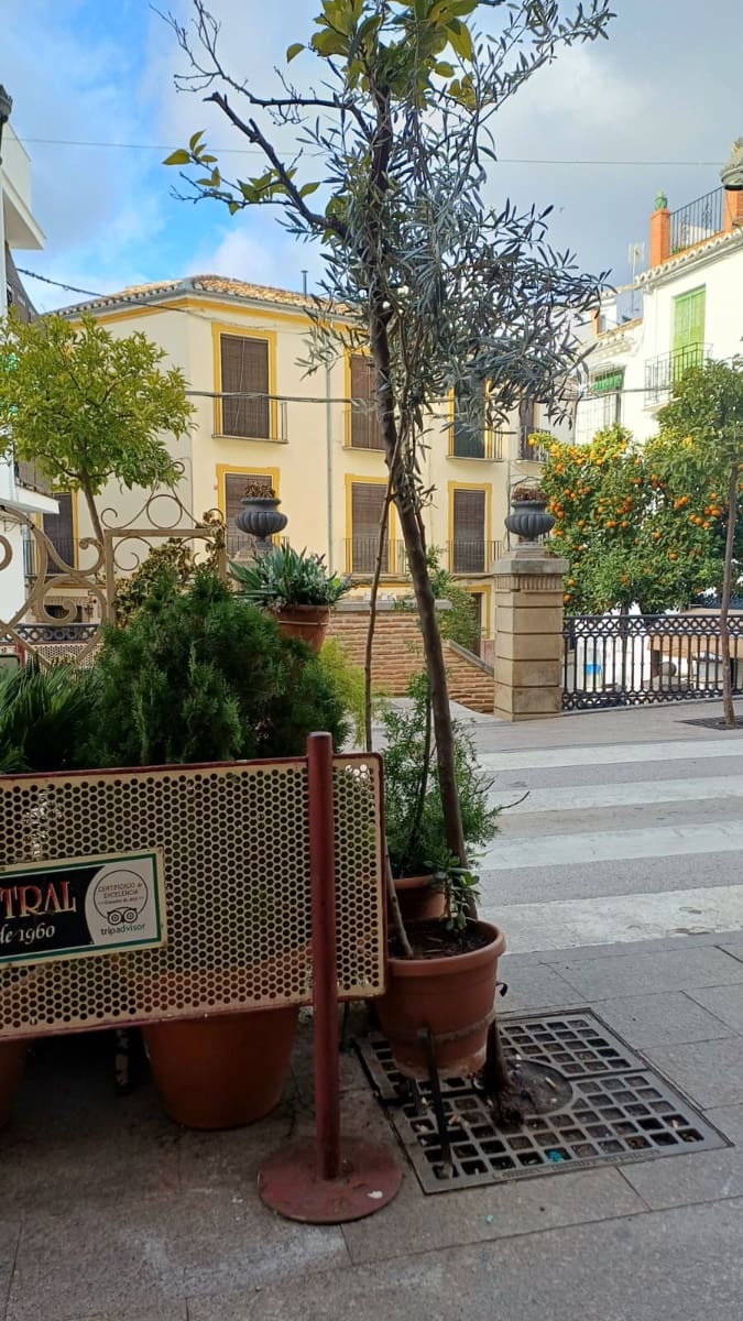 Restaurant/Bar til salg i Archidona - € 650.000 (Ref: 9570038)