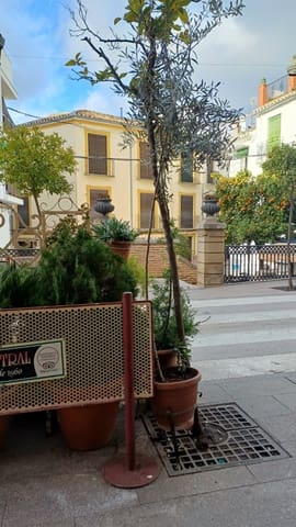 Restaurant/Bar til salg i Archidona - € 650.000 (Ref: 9570038)