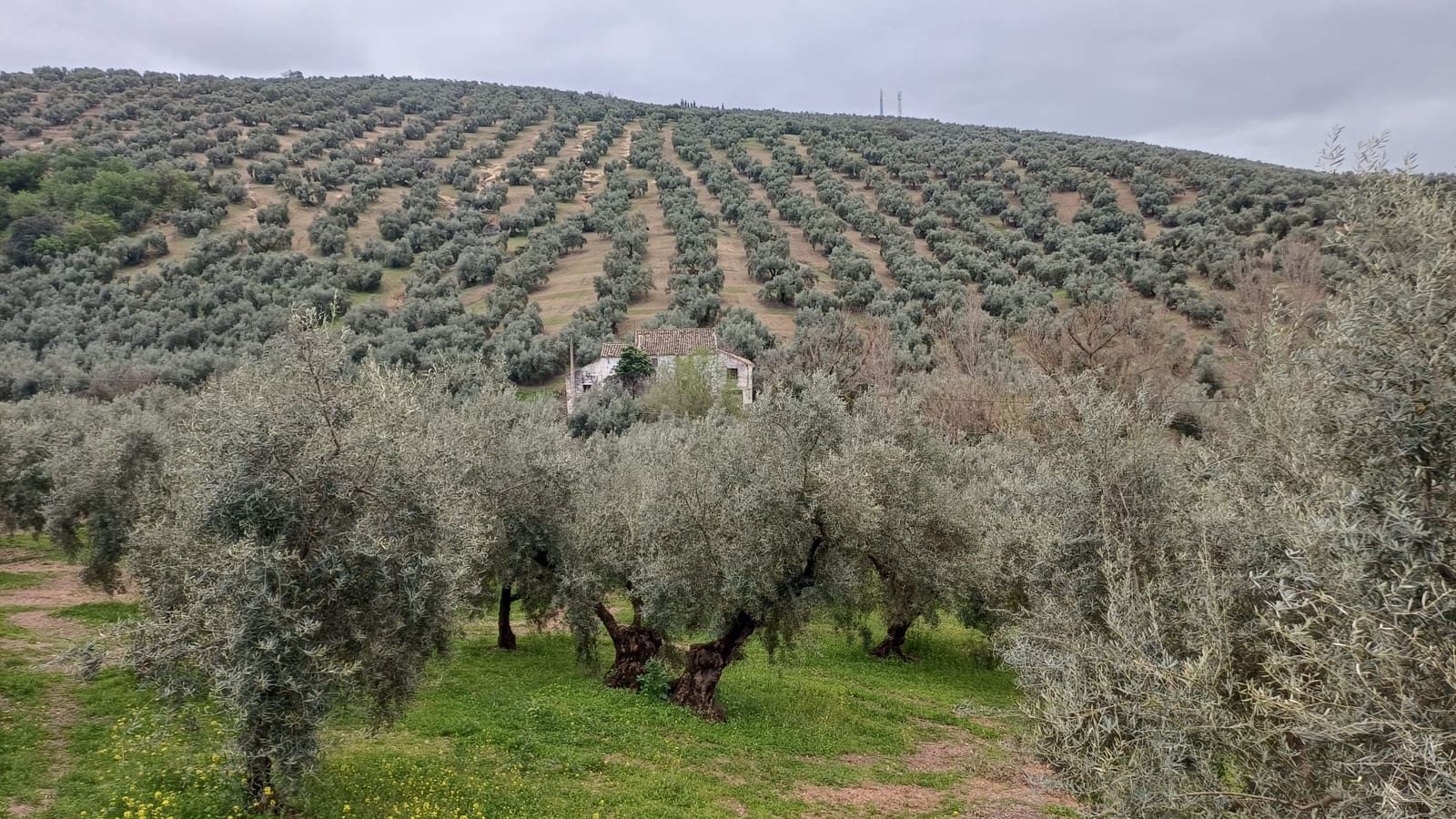 3 quarto Quinta/Casa Rural para venda em Villanueva de Algaidas com garagem - 118 000 € (Ref: 9713631)