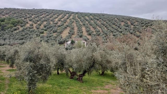 Finca/Casa Rural de 3 habitaciones en Villanueva de Algaidas en venta con garaje - 118.000 € (Ref: 9713631)