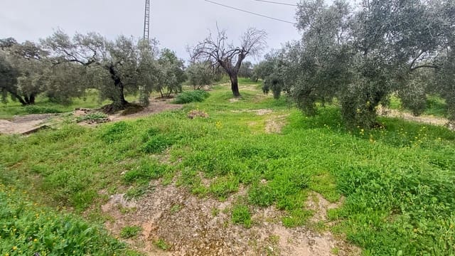 Finca/Casa Rural de 3 habitaciones en Villanueva de Algaidas en venta con garaje - 118.000 € (Ref: 9713631)