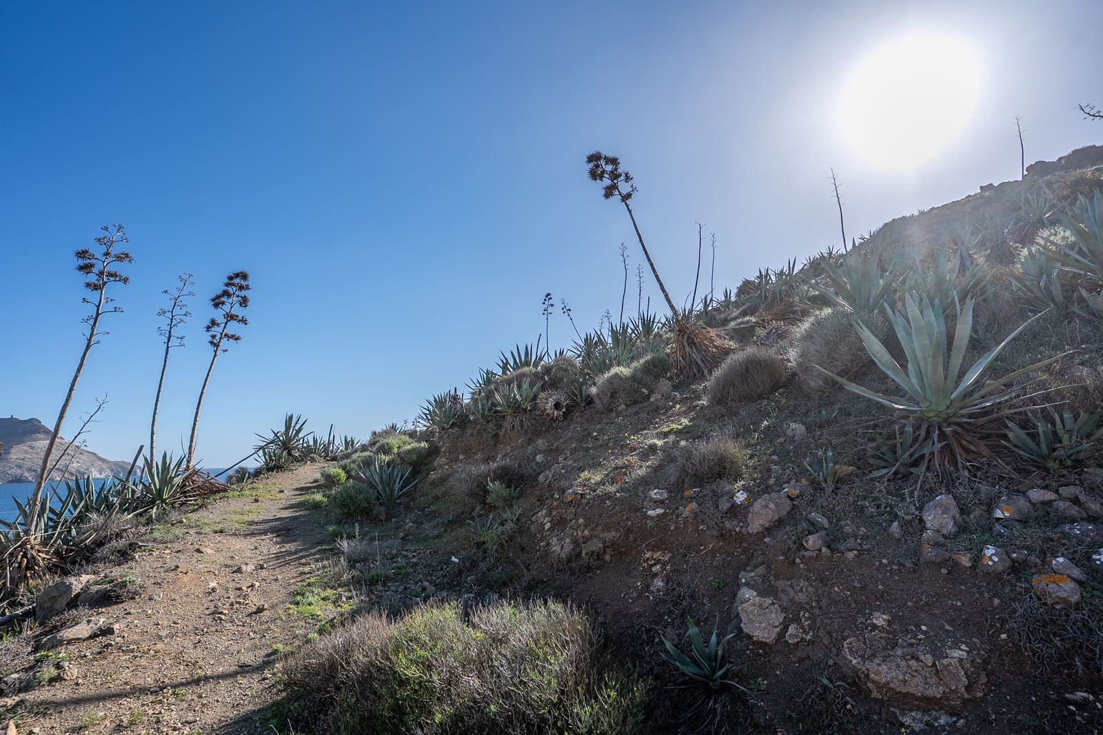 3 sovrum Villa till salu i San Jose med garage - 765 000 € (Ref: 9634898)