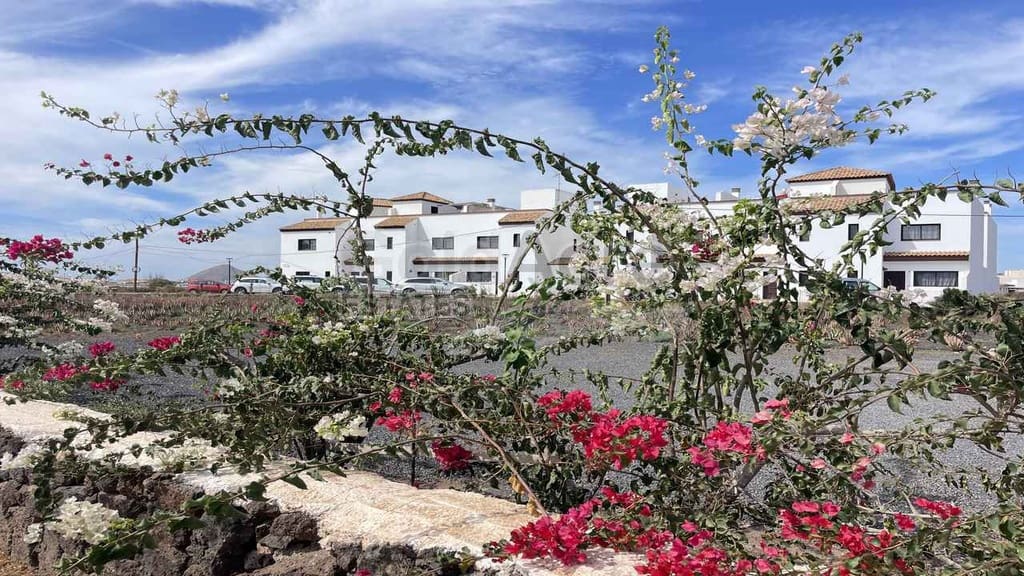 3 bedroom Terraced Villa for sale in La Oliva with pool - € 249,000 (Ref: 10162080)