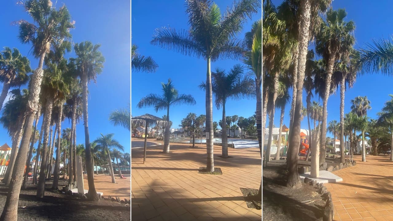 2 bedroom Apartment for sale in Corralejo - € 205,000 (Ref: 8417062)