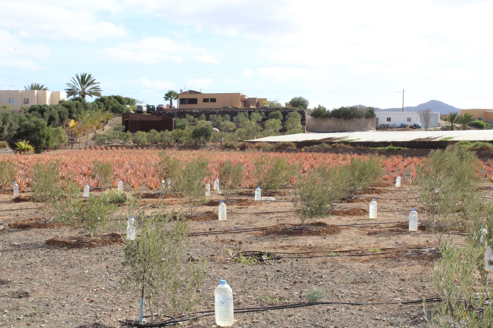 4 bedroom Finca/Country House for sale in Tesejerague with pool - € 795,000 (Ref: 8434184)