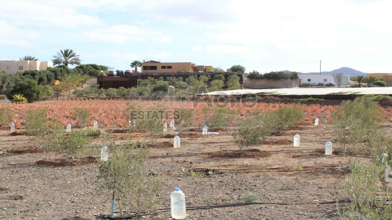 4 bedroom Finca/Country House for sale in Tesejerague with pool - € 795,000 (Ref: 8434184)