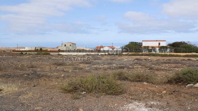 Terreno Não Urbanizado para venda em Tindaya, La Oliva - 80 000 € (Ref: 8434189)