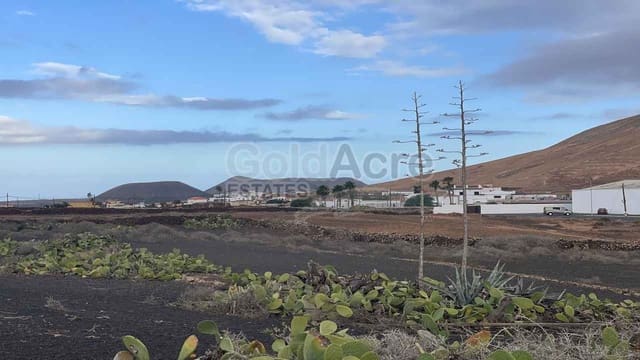 Undeveloped Land for sale in Villaverde, La Oliva - € 536,000 (Ref: 8712444)