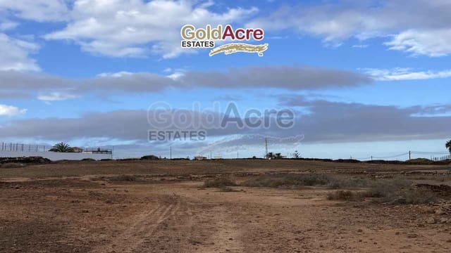 Terreno/Finca Rústica en Villaverde, La Oliva en venta - 549.000 € (Ref: 8715208)