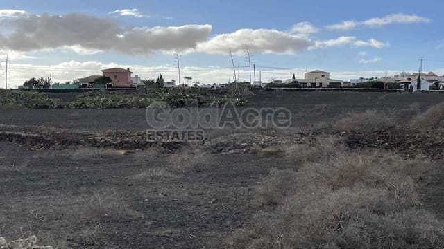 Undeveloped Land for sale in Villaverde, La Oliva - € 739,000 (Ref: 8715209)