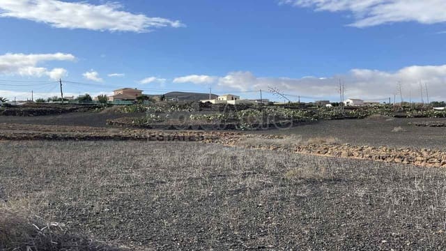 Undeveloped Land for sale in Villaverde, La Oliva - € 739,000 (Ref: 8715209)