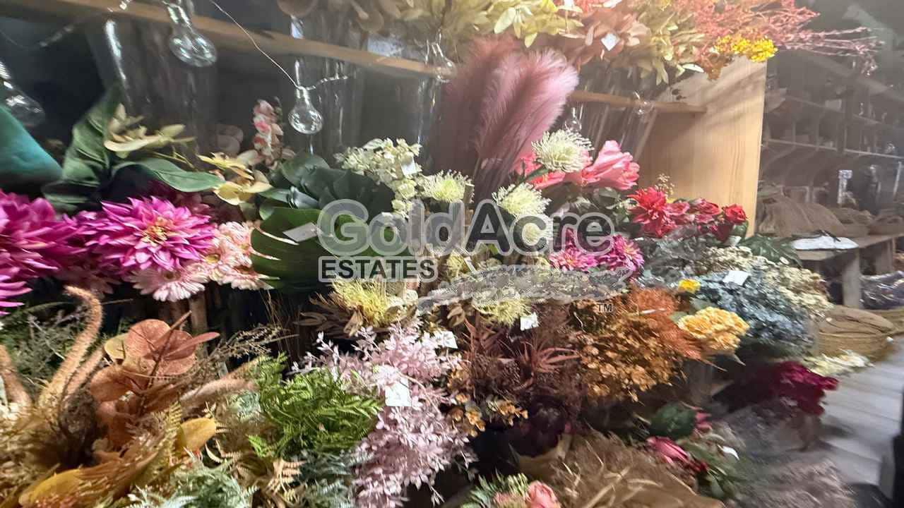 Negocio en Morro Jable en venta - 790.000 € (Ref: 9161311)