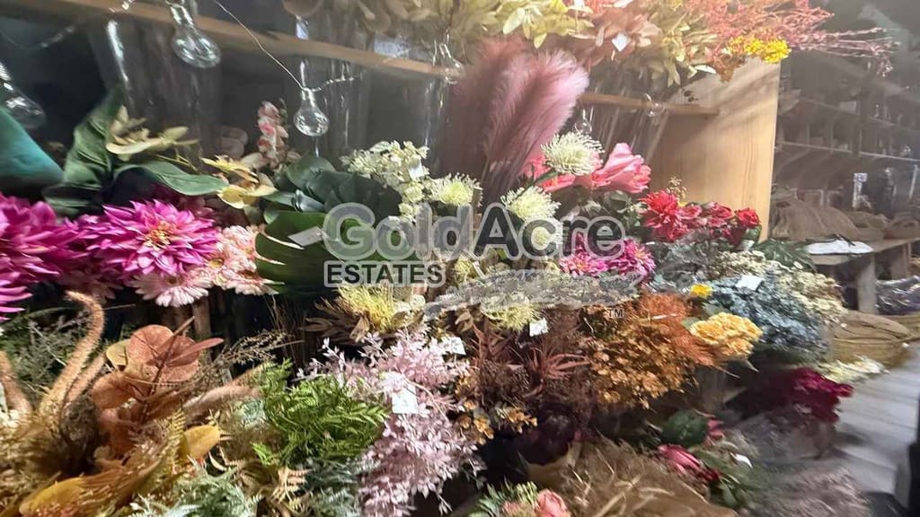 Commercial for sale in Morro Jable - € 790,000 (Ref: 9161311)