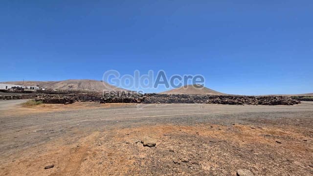 Rakentamaton maa myytävänä paikassa La Oliva - 155 000 € (Ref: 9194123)