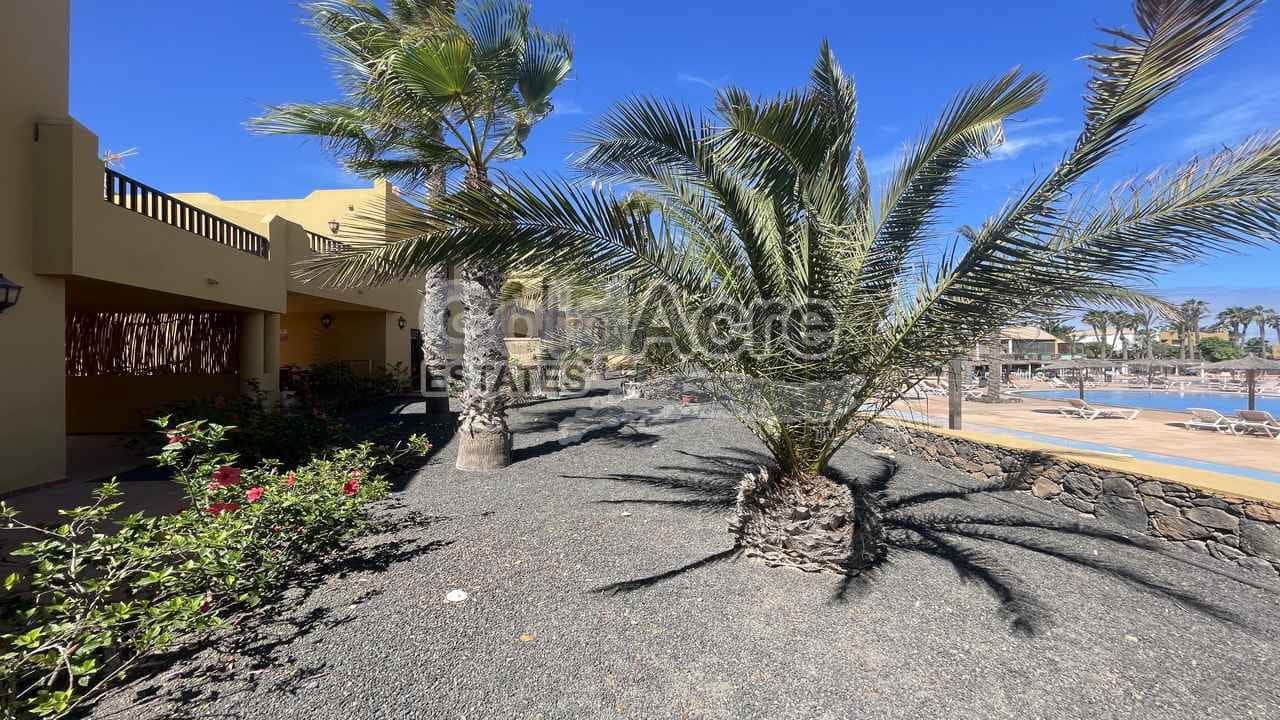 1 sypialnia Apartament na sprzedaż w Corralejo z basenem - 180 000 € (Ref: 9294113)