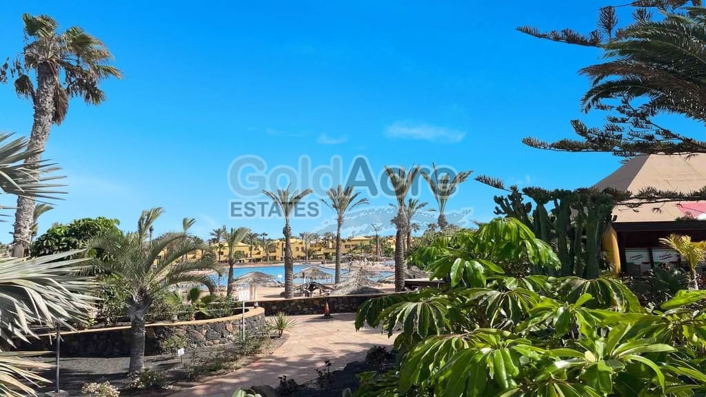 Apartamento de 1 habitación en Corralejo en venta con piscina - 190.000 € (Ref: 9310337)
