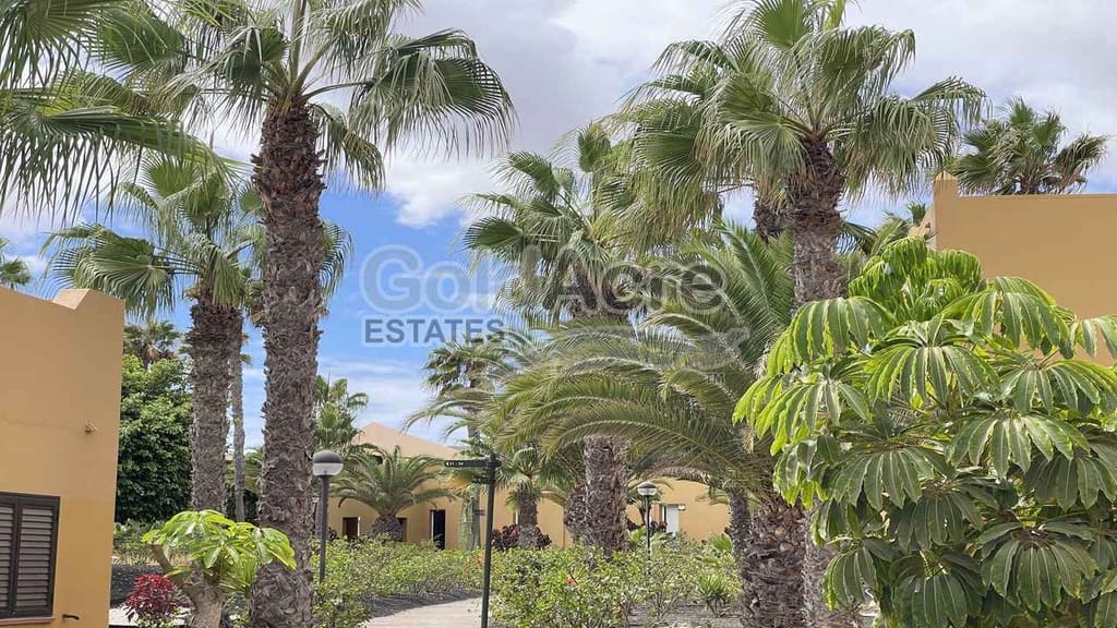 Apartamento de 1 habitación en Corralejo en venta con piscina - 190.000 € (Ref: 9310337)