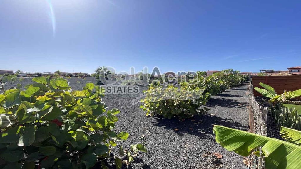 2 chambre Villa/Maison Semi-Mitoyenne à vendre à Majanicho avec piscine - 290 000 € (Ref: 9395568)