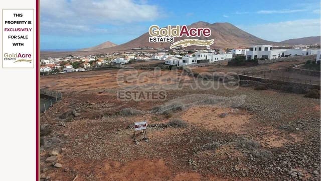 Terreno/Finca Rústica en Villaverde, La Oliva en venta - 195.000 € (Ref: 9455949)