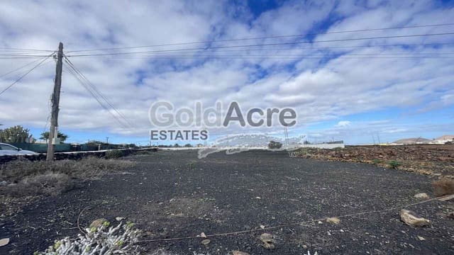 Mark till salu i Villaverde, La Oliva - 110 000 € (Ref: 9475943)