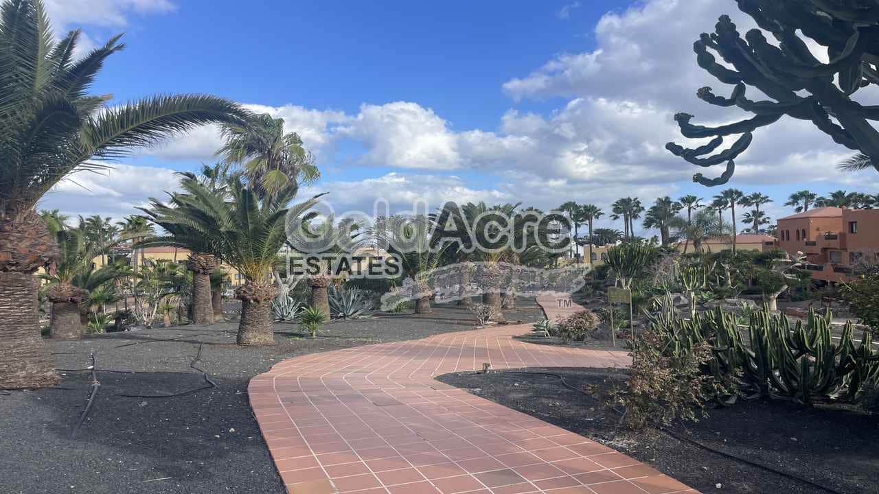 1 slaapkamer Penthouse te koop in Corralejo met zwembad - € 189.000 (Ref: 9508097)