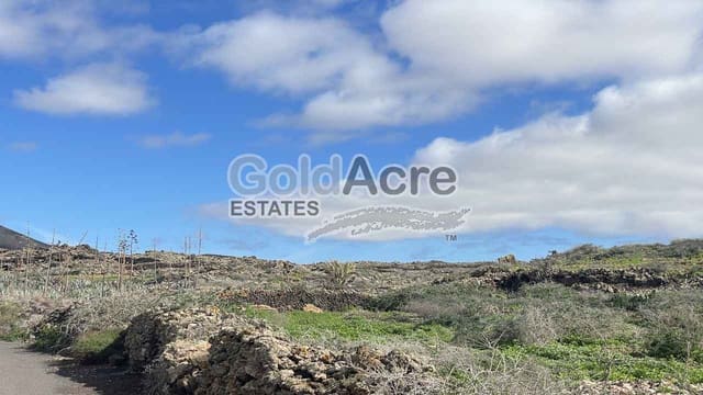 3 sypialnia Willa na sprzedaż w La Oliva z basenem - 425 000 € (Ref: 9530106)