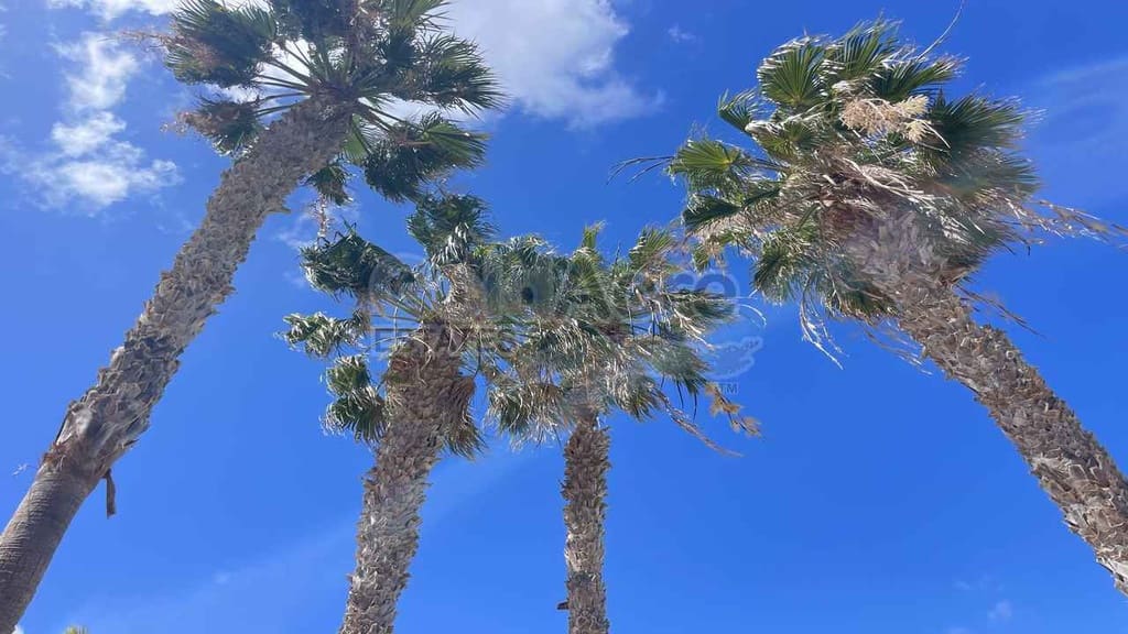 1 bedroom Apartment for sale in Corralejo with pool - € 189,000 (Ref: 9730415)