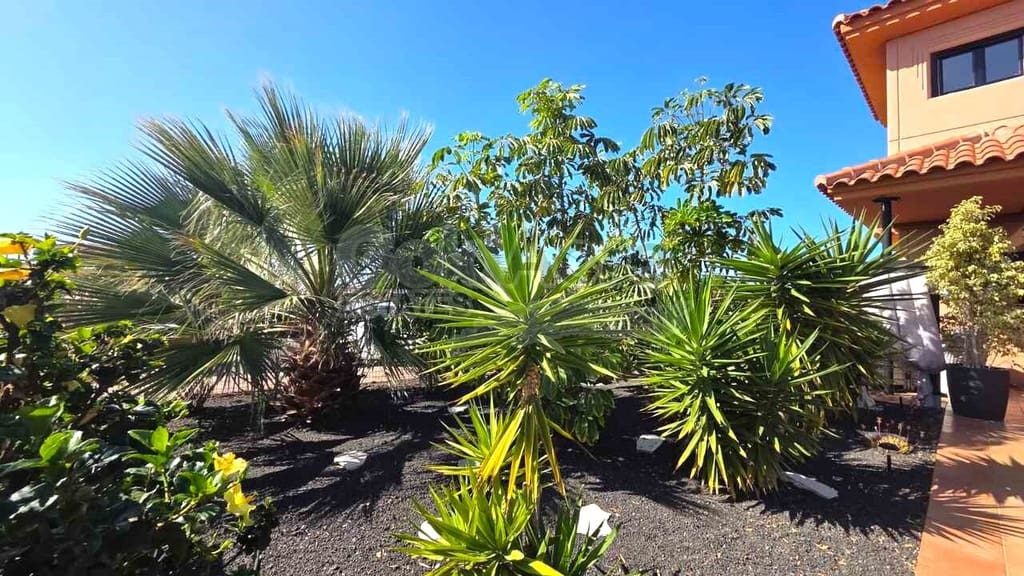 2 quarto Moradia para venda em Majanicho com piscina - 289 000 € (Ref: 9737971)