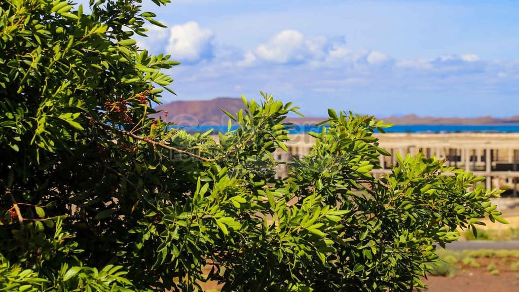 2 bedroom Apartment for sale in Corralejo with pool - € 295,000 (Ref: 9830493)