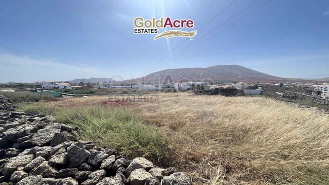 Terreno/Finca Rústica en Villaverde, La Oliva en venta - 139.000 € (Ref: 9875558)