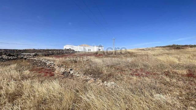 Terreno/Finca Rústica en Villaverde, La Oliva en venta - 139.000 € (Ref: 9875558)