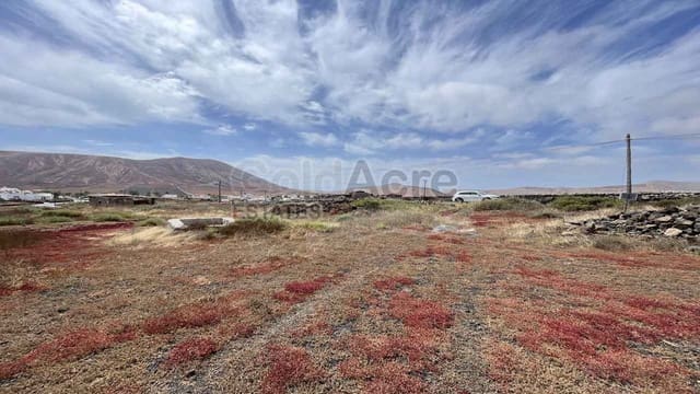 Terreno/Finca Rústica en Villaverde, La Oliva en venta - 135.000 € (Ref: 9912377)