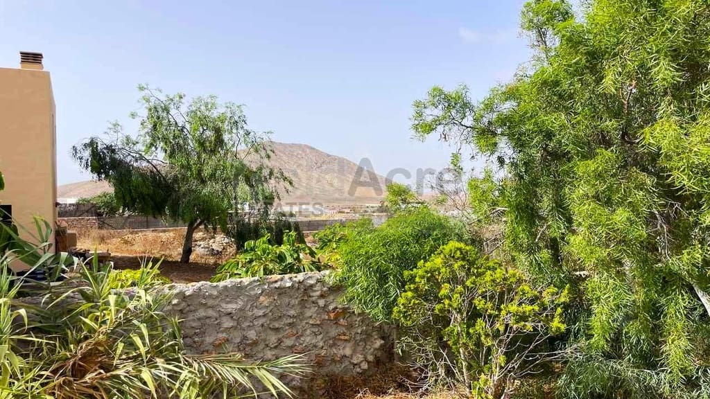 4 bedroom Villa for sale in Tindaya - € 450,000 (Ref: 9979396)