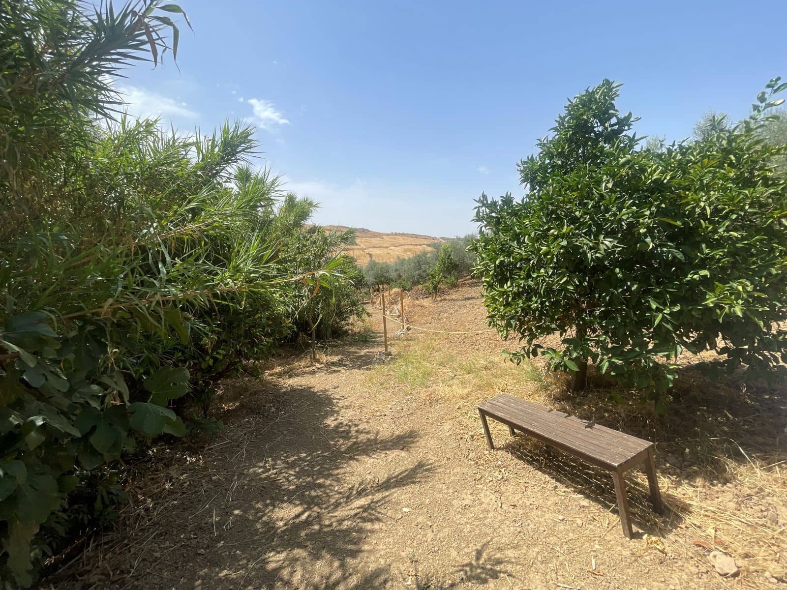 7 camera da letto Affittacamere/B & B in vendita in Villanueva de la Concepcion con piscina garage - 849.000 € (Rif: 10031068)